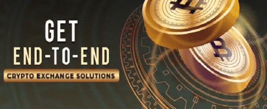 I will build you a crypto exchange website