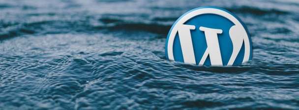 Stunning WordPress Website Creation – Fast, Modern, and SEO-Friendly