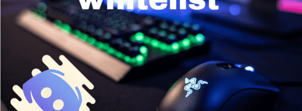 I will discord hype, discord chat, discord server