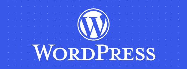 Installation and professional setup for WordPress