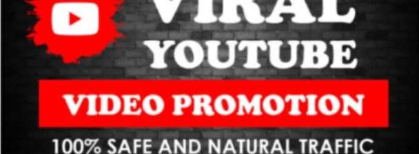 I will do super organic youtube video or channel promotion for monetization