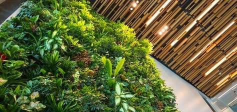 Living Wall Installation Consultancy Services