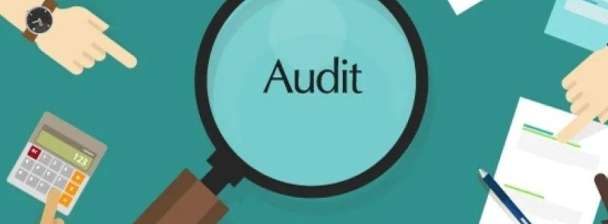 I want Audit your Project