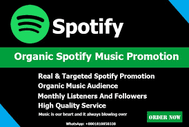Do Organic Spotify Music Promotion with Spotify ads