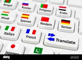 I will provide professional writing and translation services in English