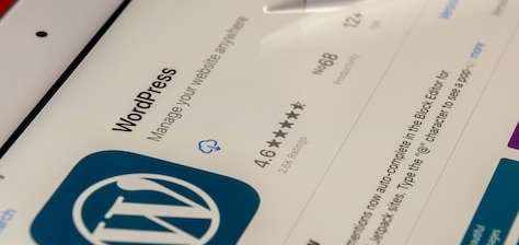 Professional WordPress Website Development