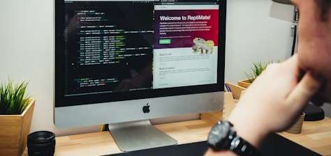 Web developer