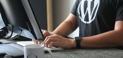 I will create WordPress website Using Elementor