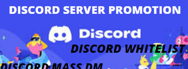 I will get you whitelist on any discord server