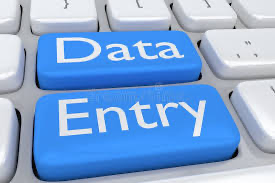 I will perform a detailed data entry for you