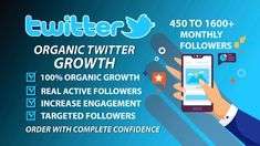 I will do massive nft, discord, twitter followers promotion