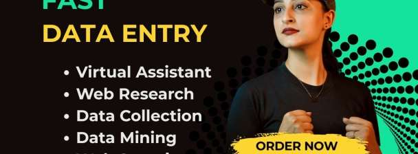I will be Your Virtual Assistant for Data Entry, Data Mining, Typing, and Web Research