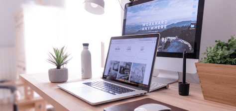 Web development
