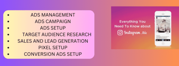 I will setup and manage your instagram and facebook ads campaign for leads and sales