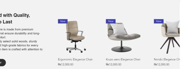 I Will Design a Professional and Stunning Shopify Website