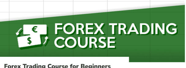 I will help you with crypto trading, forex or day trades 1hr lesson