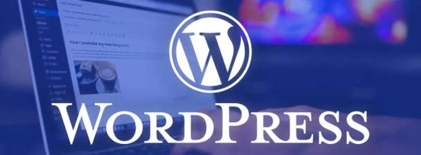 I can create your website using Wordpress
