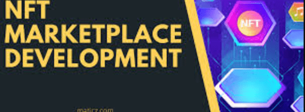 I will build nft website, nft marketplace, nft mint engine