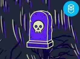 fork tomb financial on various EVM network