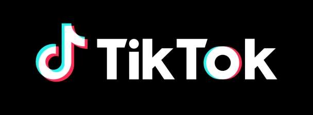 I will promote your TikTok account organically to get more followers
