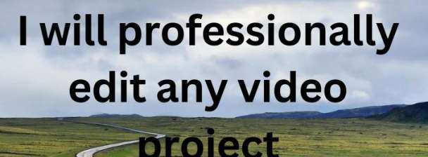 I will professionally edit any video project