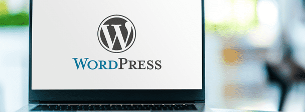 I Will Create Professional WordPress Website