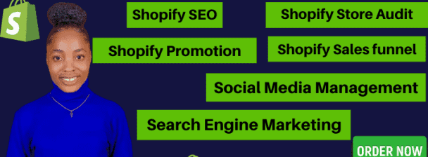 I will do ROI shopify marketing, shopify SEO, shopify sales funnel to boost shopify store sales