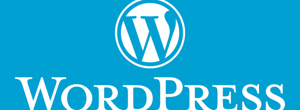 I make Wordpress website