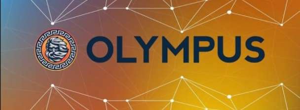 fork olympus dao, wonderland dao on various network
