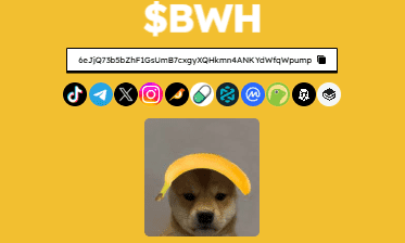 I WILL PROVIDE ABOUT ANALYSIS IN THE WEB MEME COIN