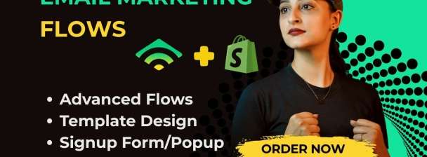 I will setup Advanced Klaviyo Email Marketing Flows for e-Commerce