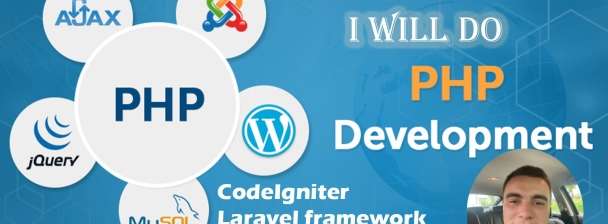 I will be your php mysql codeigniter laravel developer