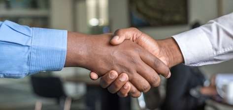 Multilingual translation specialist mastering 6 languages