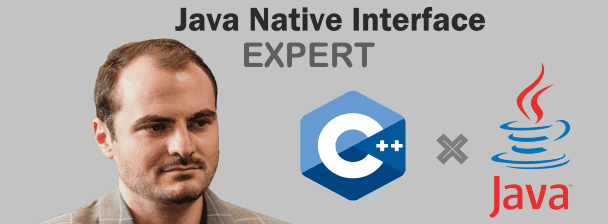 Java Native Interface (JNI)