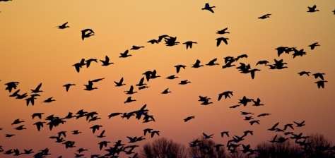 I Will Migrate Your App to a Scalable Architecture