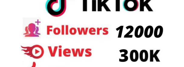 12000 TikTok Followers + 300K Tik Tok Views + 3000 TikTok Likes