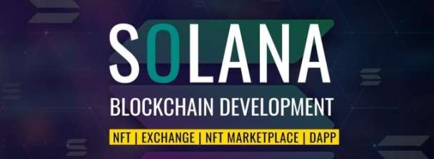 I will be your solana nft blockchain developer