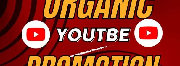 do organic USA youtube promotion for complete channel monetization