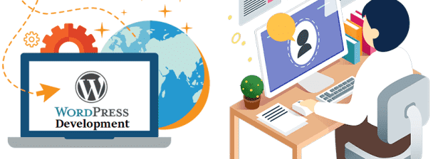 I will install wordpress, theme and plugins on your live domain and hosting