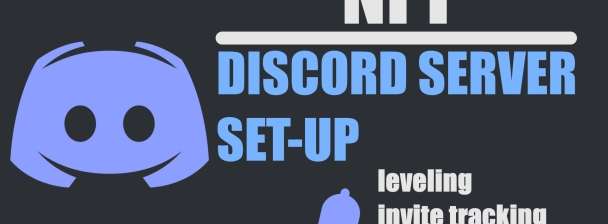 I will setup or improve your discord server, configure bots, roles and channels