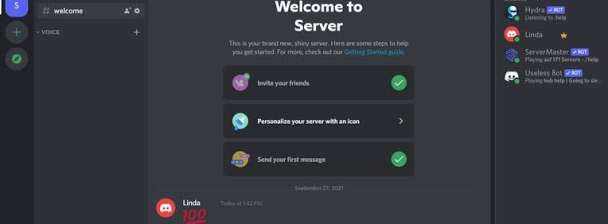 I will Professional Discord Server Setup and Customization Services