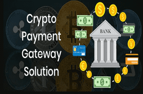 I will work on coinpayment gateway in Blockchain integration