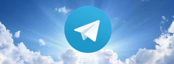 I can build your Telegram/Twitter bot with a crypto gateway payments.