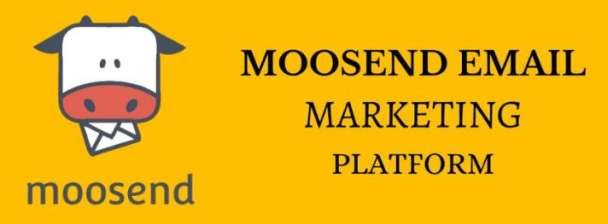 I will Elevate Your Email Marketing with Moosend Expert