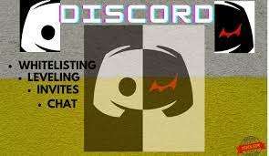 Do Nft discord whitelist, leveling, invites and chats