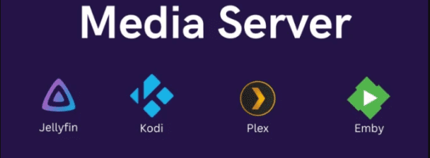 I will install or configure  plex media server, jellyfin, Emby, on your  media server