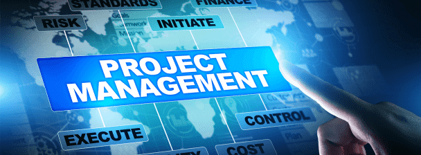 I will be your Project Manager