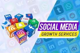 I will do social media promotion growth