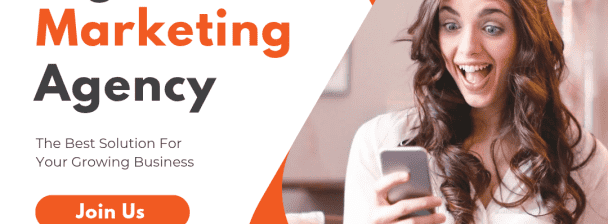 will design eye-catching social media posts or Canva flyers for your brand