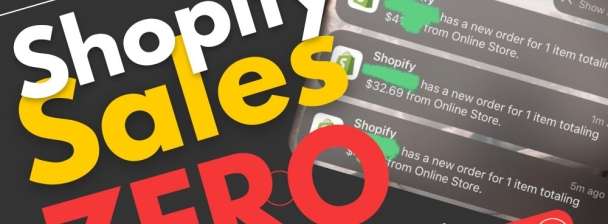 I will boost your shopify sales with shopify marketing plan and ecommerce promotion ads
